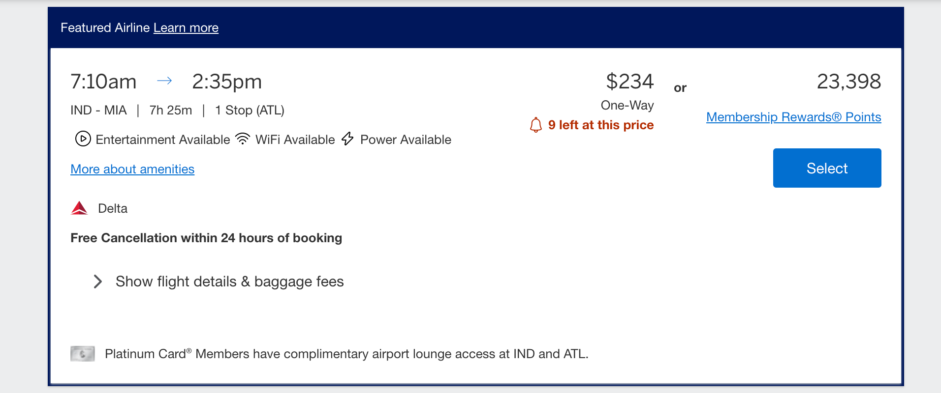 Screenshot of Delta flight example.