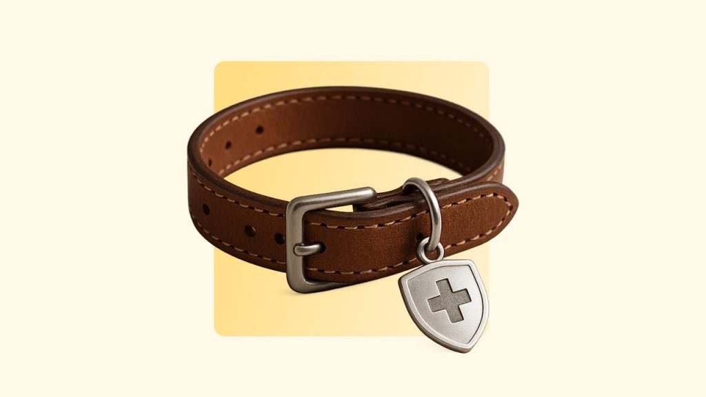 How Does Pet Insurance Work And How Do You Use It For Your Pet?